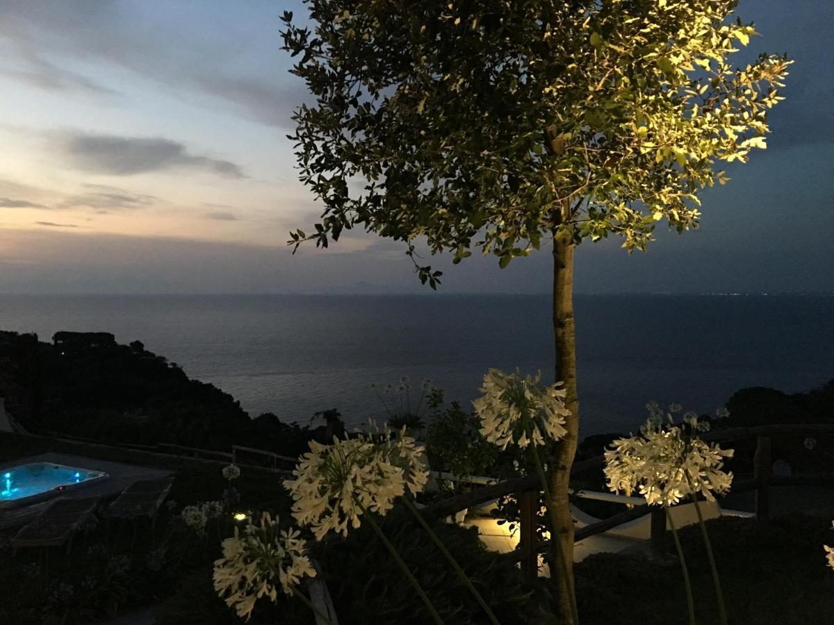 Agapanto Luxury Accommodation Casamicciola Terme Zewnętrze zdjęcie