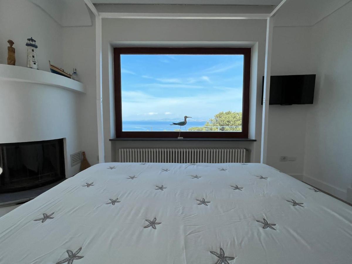 Agapanto Luxury Accommodation Casamicciola Terme Zewnętrze zdjęcie