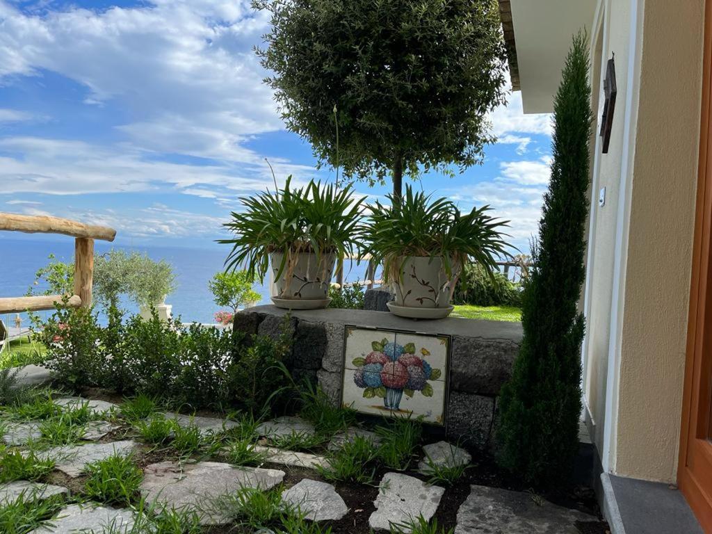 Agapanto Luxury Accommodation Casamicciola Terme Zewnętrze zdjęcie