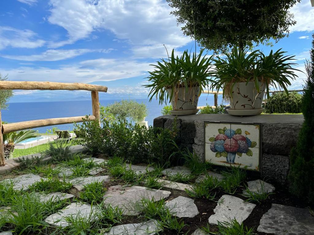 Agapanto Luxury Accommodation Casamicciola Terme Zewnętrze zdjęcie