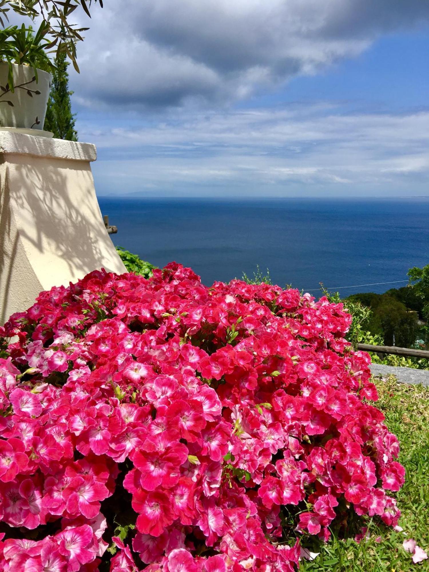 Agapanto Luxury Accommodation Casamicciola Terme Zewnętrze zdjęcie