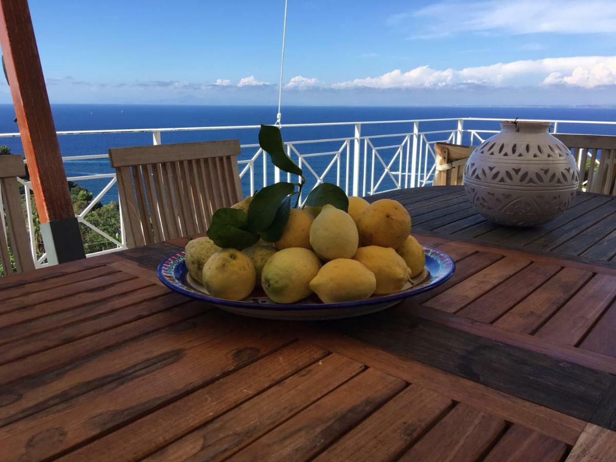 Agapanto Luxury Accommodation Casamicciola Terme Zewnętrze zdjęcie